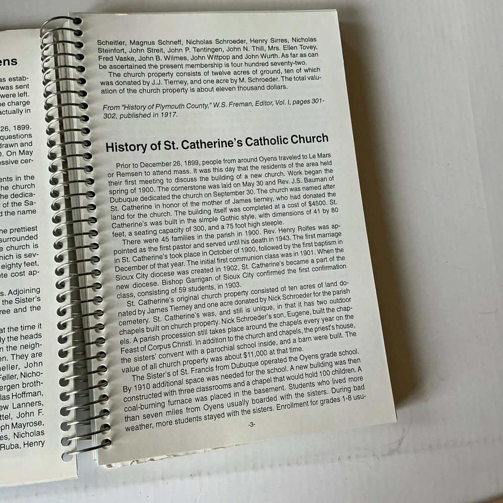 St. Catherine's Vintage Centennial Cookbook Oyens Iowa Spiral Bound 2000